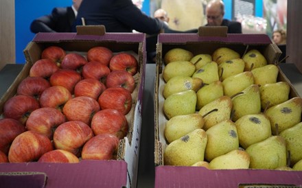 Produtores de frutas italianos voltam a usar cavernas para conservar alimentos