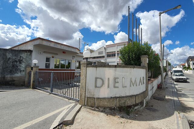 Empresa de Arrabal quer salvar Dielmar