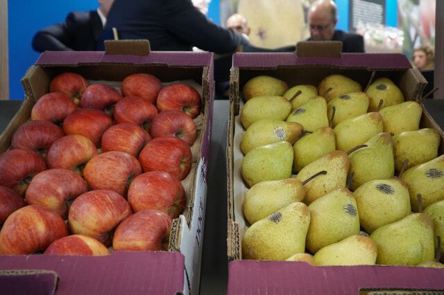 Produtores de frutas italianos voltam a usar cavernas para conservar alimentos