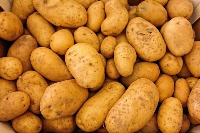 Custos da indústria alimentar recuam pela primeira vez