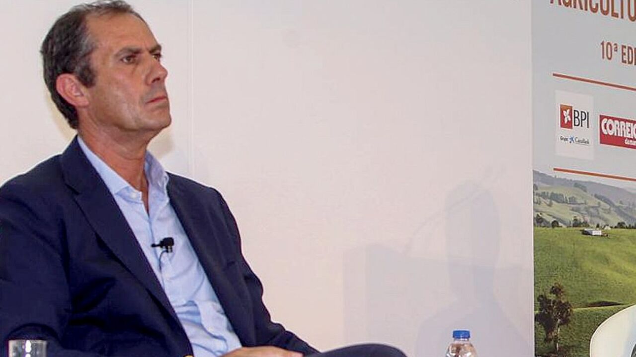 David boas thesis 02 picture