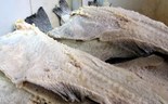 Bacalhau mais caro trava consumo das famílias no Natal