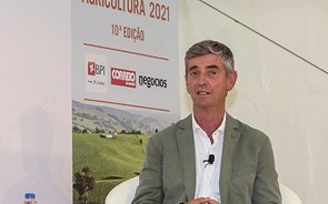 “Com água fazem-se milagres na agricultura” 