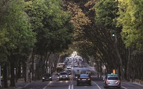 Cidades no caminho da mobilidade sustentável