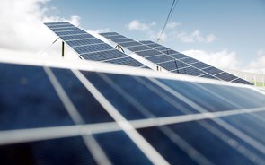 Central solar travada pelo MP continua a avançar, mas empresas admitem atrasos
