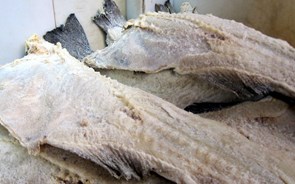 Consoada mais cara. Preço do bacalhau aumentou quase dois euros por quilo em 2022