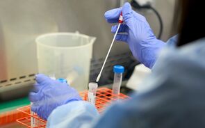 investigação, ciencia, laboratorio