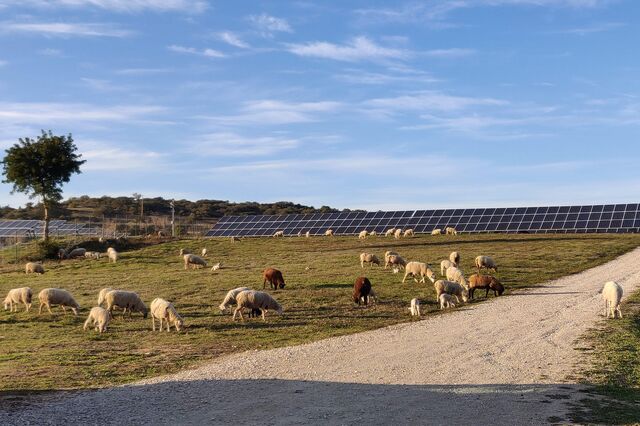 Porto e Viseu na rota dos milhões da energia solar