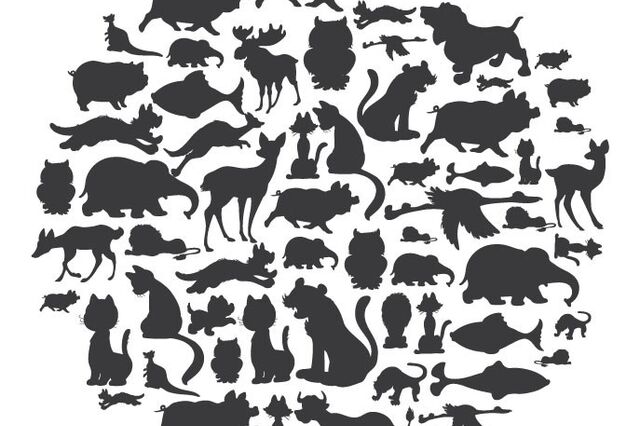 Os animais estão a encolher