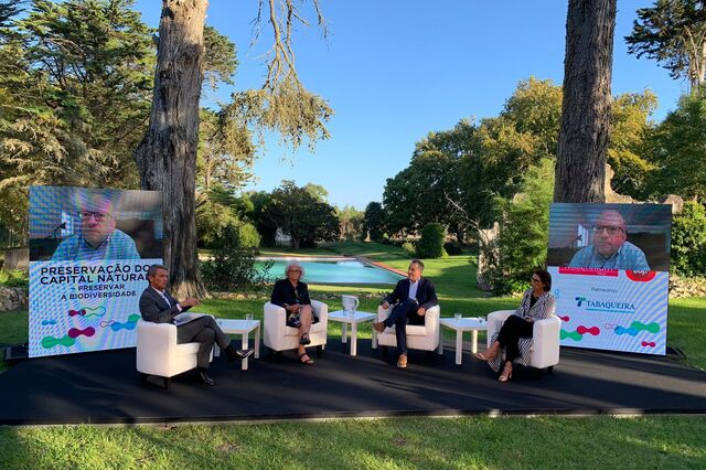 O capital natural deve ser integrado na contabilidade dos países, municípios e empresas