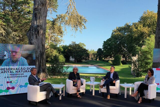 É preciso valorizar o capital natural integrando-o na contabilidade dos países, municípios e empresas