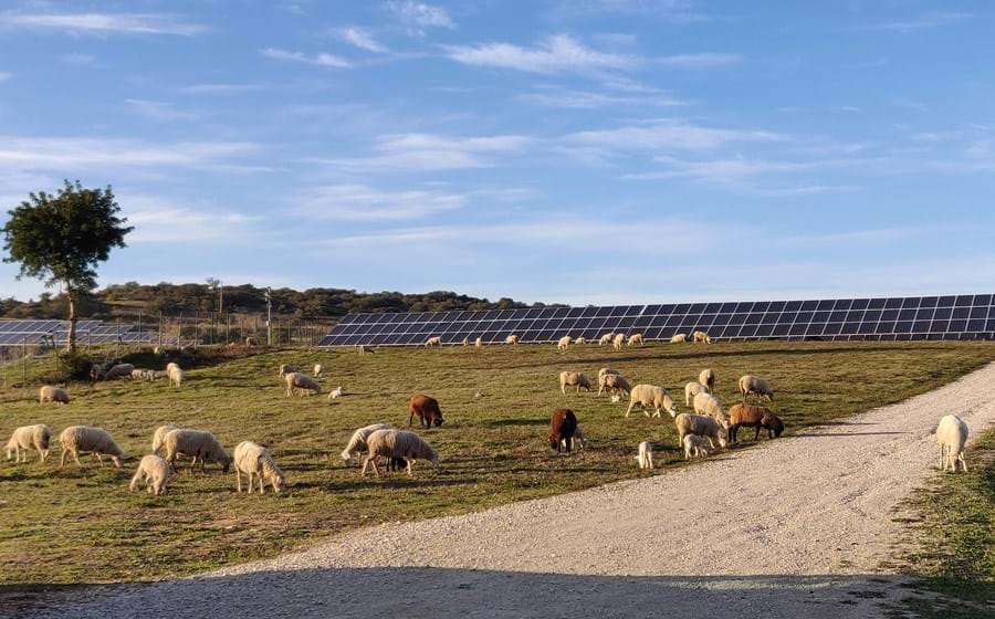 A BNZ vai desenvolver sete projetos de energia solar em Portugal, nas regiões do Porto e Viseu.