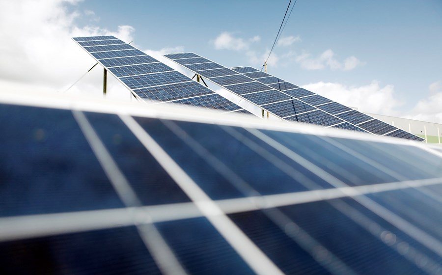 O parque solar em Santiago do Cacém é um dos cinco em que a Iberdrola e a Prosolia vão investir na Península Ibérica nos próximos quatro anos.