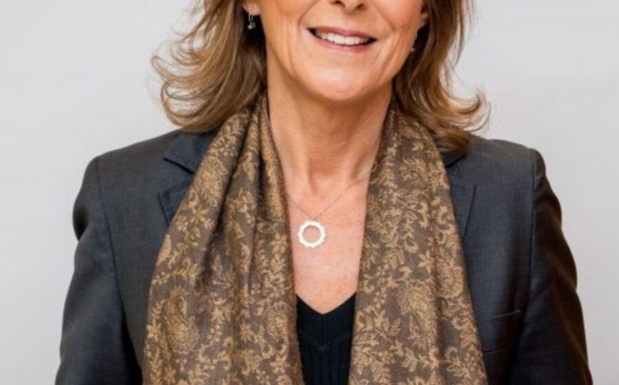  Teresa Cardoso de Menezes, diretora-geral da Informa D&B