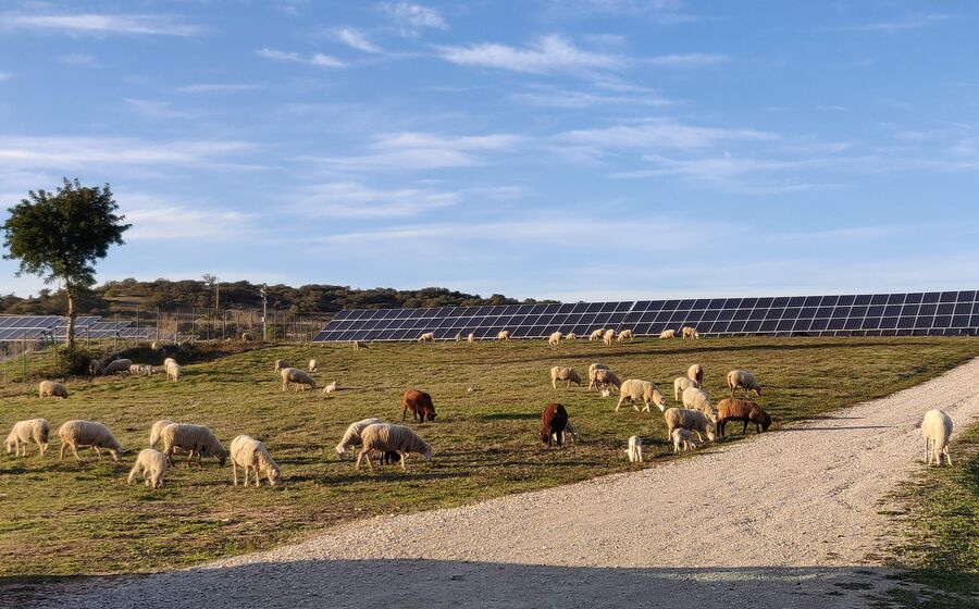 BNZ, energia solar, 