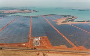 EDP Renováveis inaugura parque com 600 mil painéis solares no Brasil