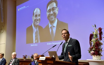 Nobel da Medicina atribuído a cientistas que descobriram recetores da temperatura e do toque