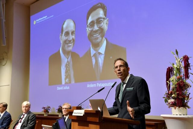 Nobel da Medicina atribuído a cientistas que descobriram recetores da temperatura e do toque