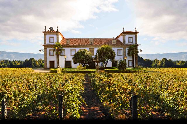 Vinhos: o berço da casta Alvarinho