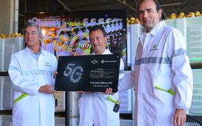 Sumol+Compal, 5G, fabrica de Almeirim