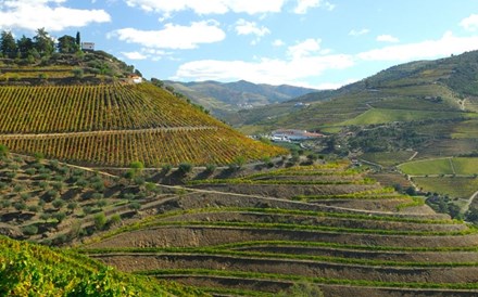 Fundo brasileiro oferece 100 milhões a Roquette pela Quinta do Crasto 