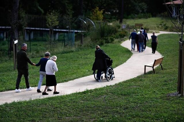 Estudo coordenado pela UMinho descobre solução para atenuar progressão do Alzheimer