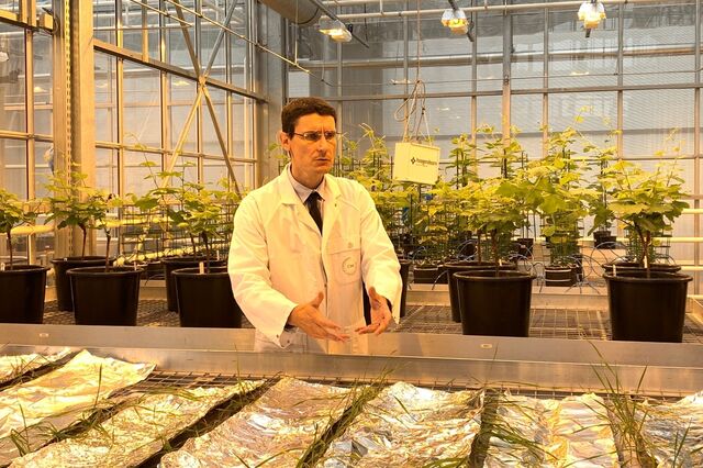 Adaptar a agricultura às alterações climáticas 