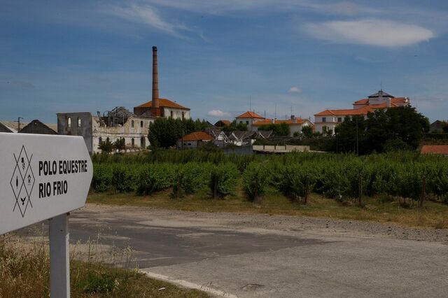 Corticeira Amorim compra posição da Parvalorem na Herdade de Rio Frio por 14,6 milhões