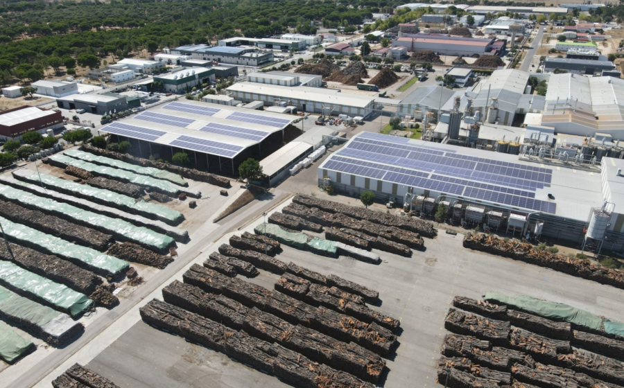 Greenvolt, profit energy, fotovoltaica, solar