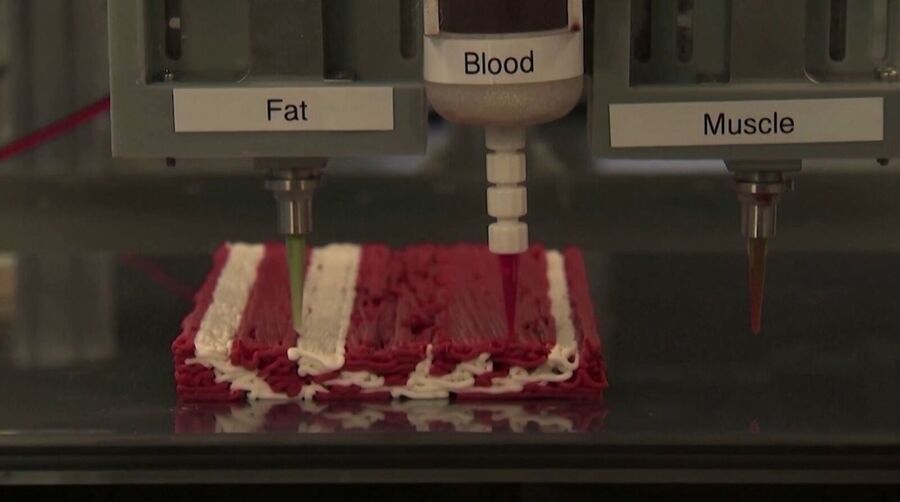 Redefine Meat