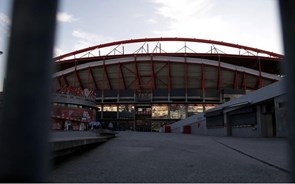 Benfica confirma buscas e garante não ser arguido ou visado na 'Operação Malapata'