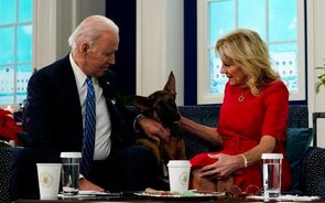 Joe Biden Natal