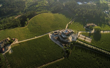 Vinhos: encontros com os sentidos na Região dos Vinhos Verdes