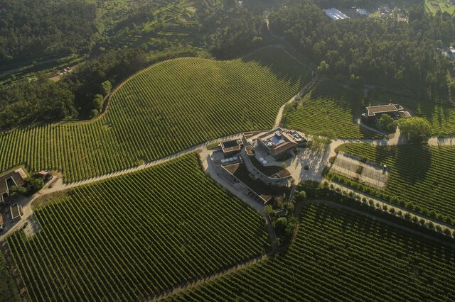 Vinhos: encontros com os sentidos na Região dos Vinhos Verdes
