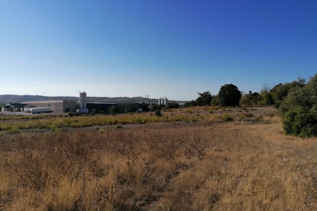 Maior parte dos terrenos só mudam de proprietário após morte