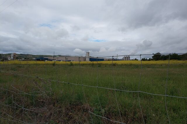 Italiana vende cinco 'campos de futebol' da Quinta dos Cónegos a estrangeiros   