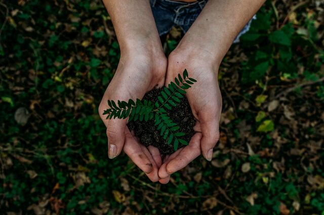 BRITA publica Relatório de Sustentabilidade 2020
