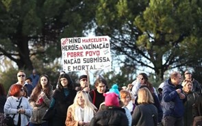 Cerca de 400 pessoas manifestam-se em Lisboa contra certificado digital 