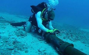 Novos cabos submarinos podem atrair investimento