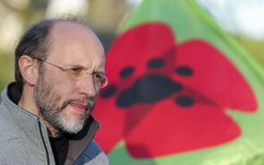 Dirigente do Livre, Rui Tavares