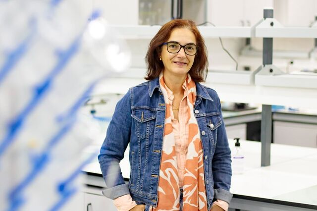 Elvira Fortunato, a ministra que inventou o 'papel eletrónico' e deu voz a boneco animado