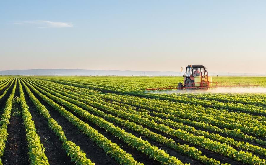 As vendas ao exterior da indústria agroalimentar terão subido a bom ritmo em 2021, depois de praticamente terem estagnado em 2020.