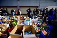 ucrania russia refugiados