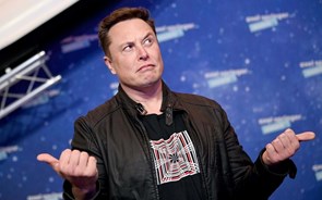 'Ofereceu-lhe um cavalo em troca de sexo': Musk paga 250 mil dólares para fugir a acusação de assédio 