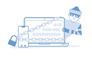 O código para decifrar a ciberproteção da carteira 