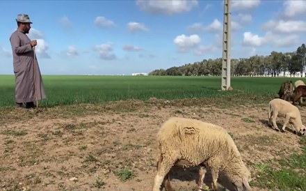 Marrocos enfrenta pior seca das últimas três décadas