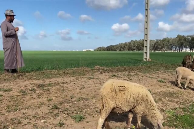 Marrocos enfrenta pior seca das últimas três décadas