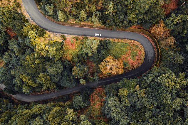 Mobilidade verde já está na estrada