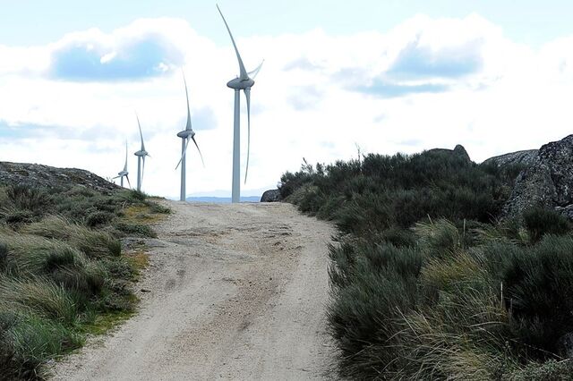 Setor das energias renováveis gera 12,7 milhões de empregos globalmente