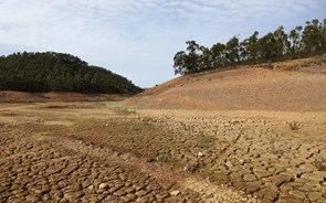 Câmaras municipais admitem cortes de água devido à seca